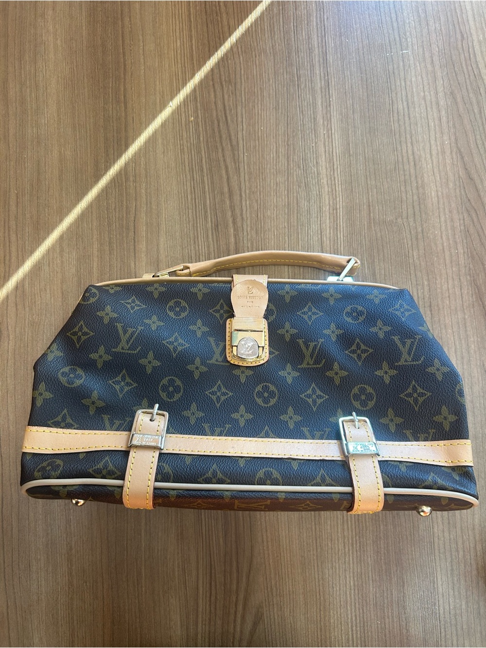 Louis Vuitton Bag